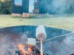 Marshmallows on the fire pit Marshmallows on the fire pit
